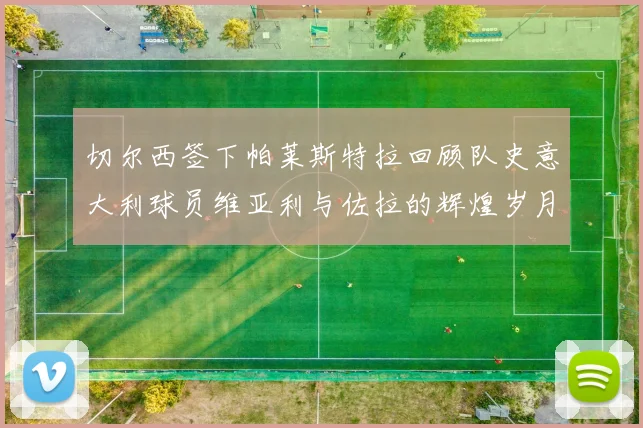 切尔西签下帕莱斯特拉回顾队史意大利球员维亚利与佐拉的辉煌岁月